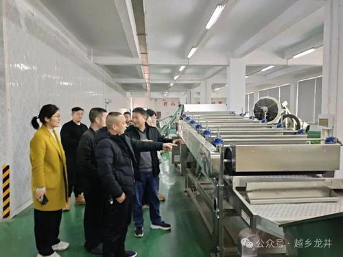 俞燎遠研究員深入嵊州調研，為茶產業技術推廣與升級把脈開方